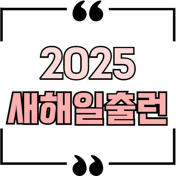 2025 새해일출런