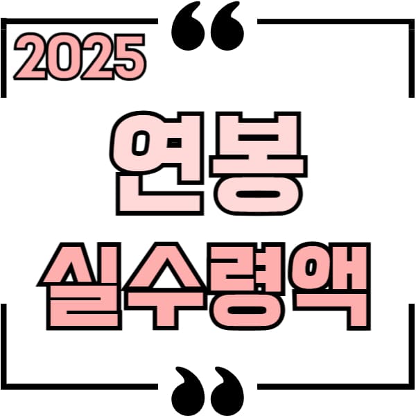 2025 연봉 실수령액