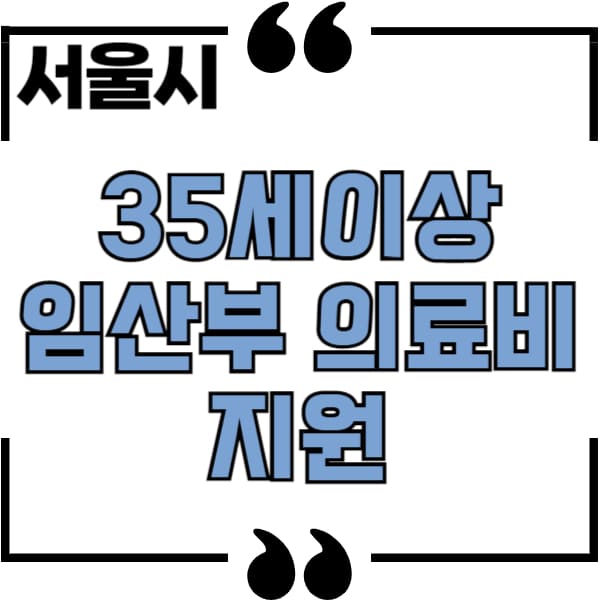 35세 이상 임산부 의료비 지원