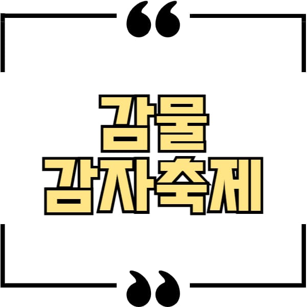 감물감자축제
