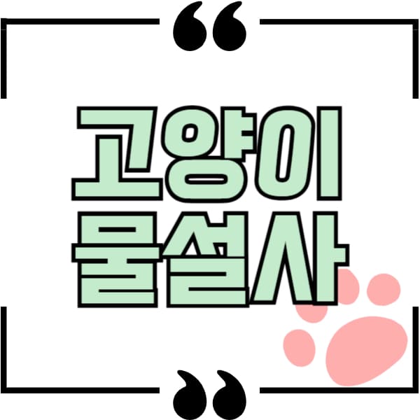 고양이 물설사