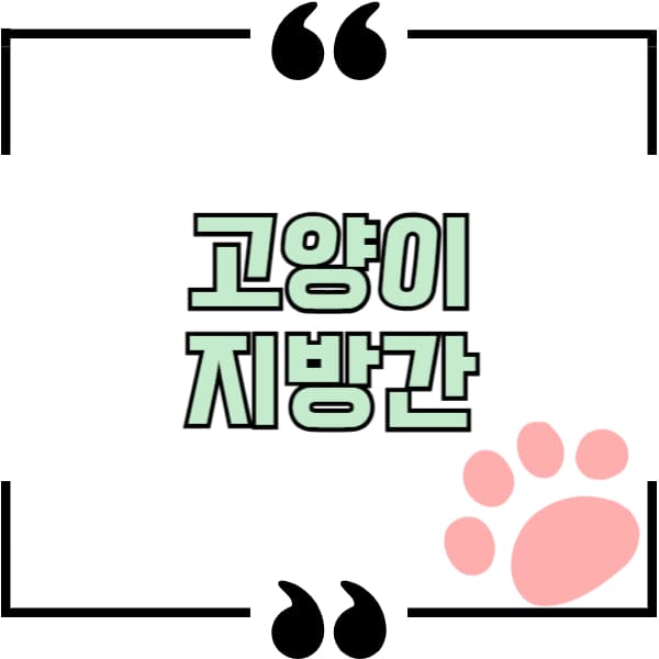 고양이 지방간