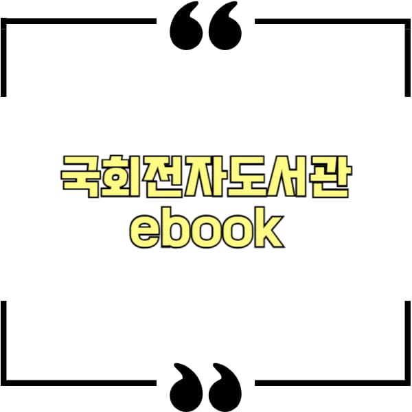 국회전자도서관 ebook