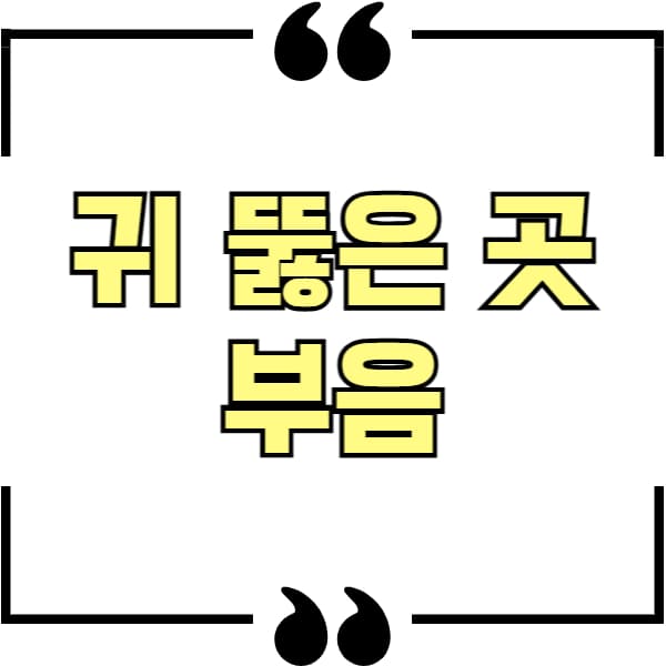 귀 뚫은 곳