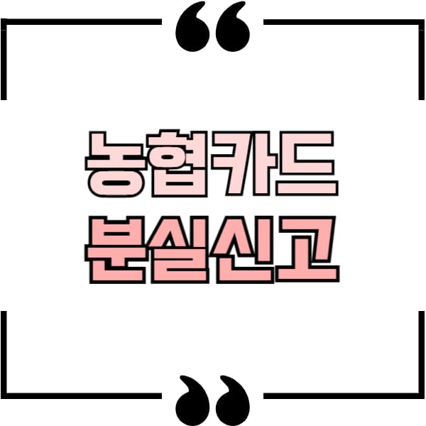 농협 카드 분실