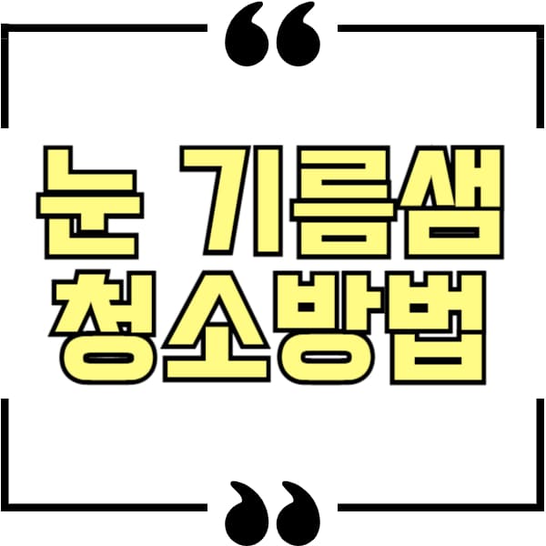 눈 기름샘 청소방법