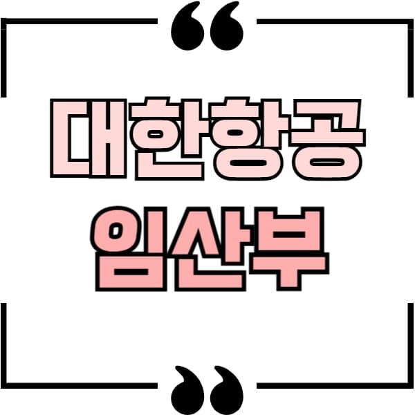 대한항공 임산부