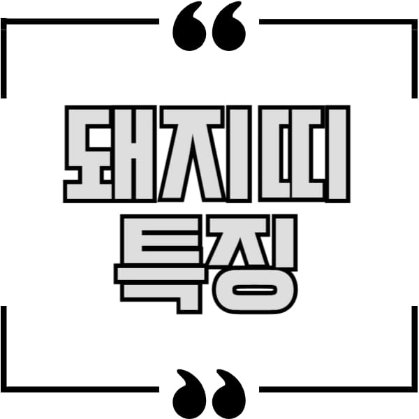 돼지띠 특징