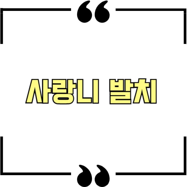 사랑니 발치