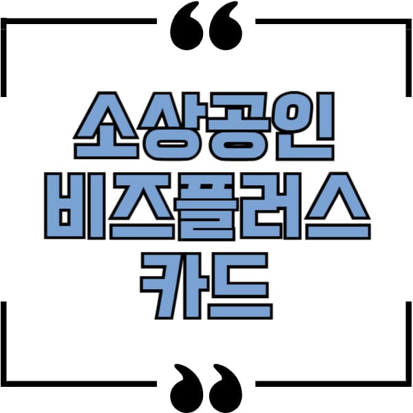 소상공인 비즈플러스 카드