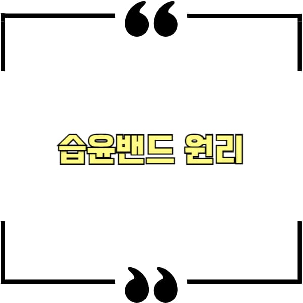 습윤밴드