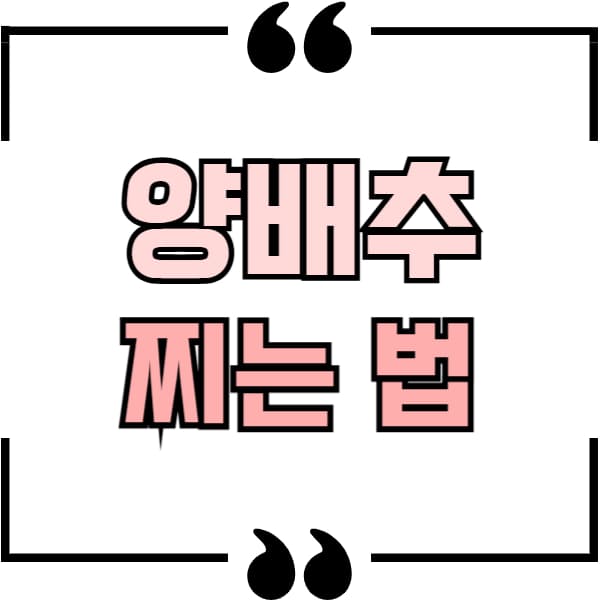 양배추