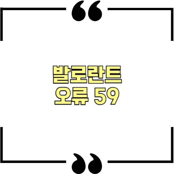 발로란트 오류 59