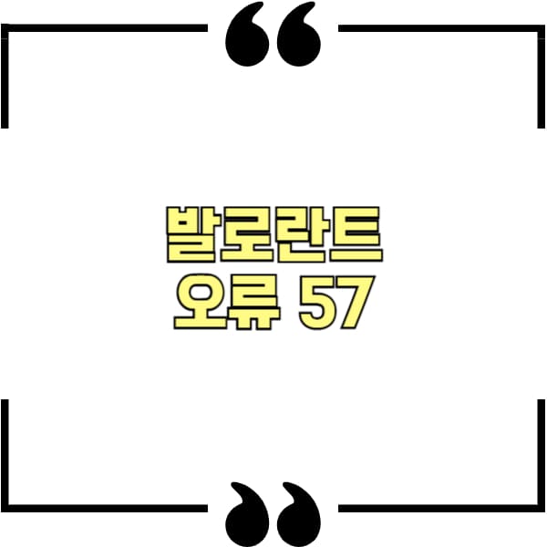발로란트 오류 57