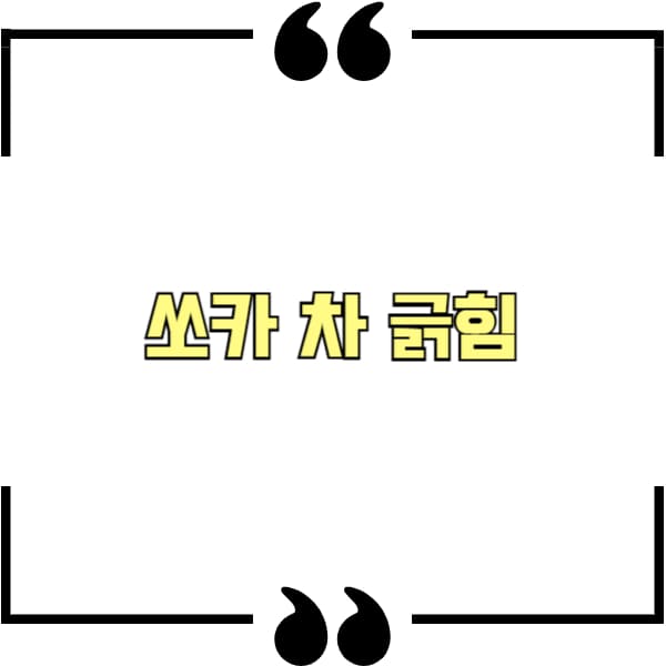 쏘카 차 긁힘