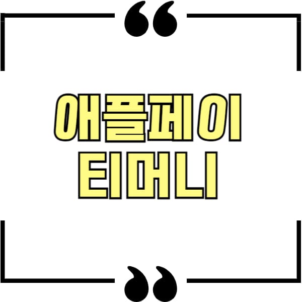 애플 페이 티머니