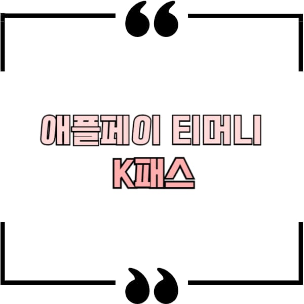 애플페이 티머니 k패스