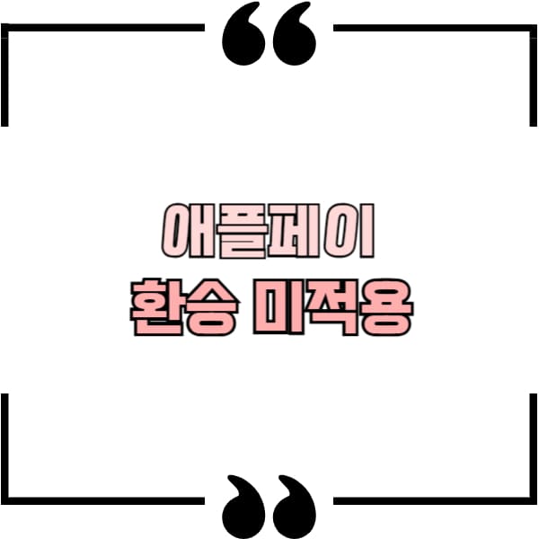 애플페이 티머니 환승