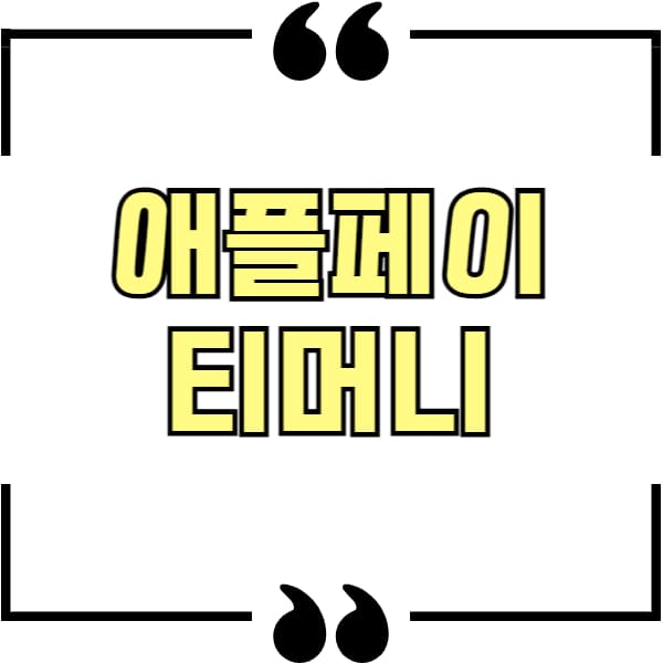애플페이 티머니