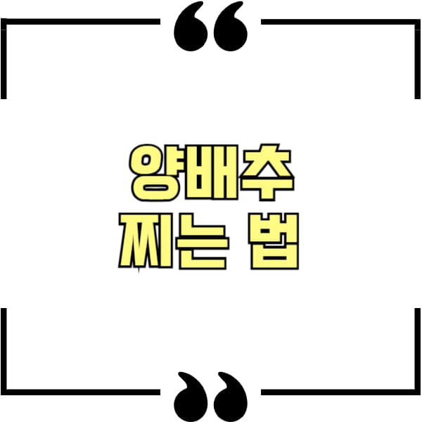 양배추