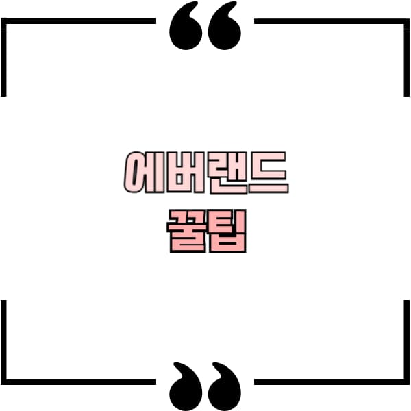 에버랜드 꿀팁