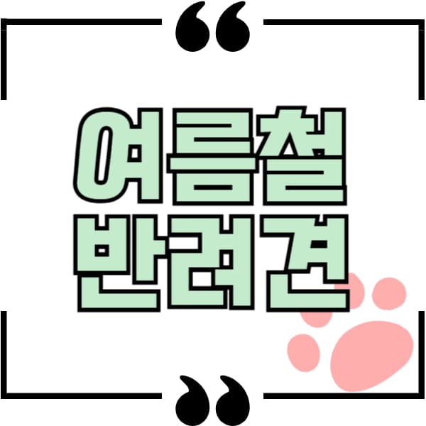 여름철 반려견