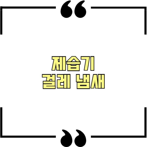 제습기 걸레 냄새