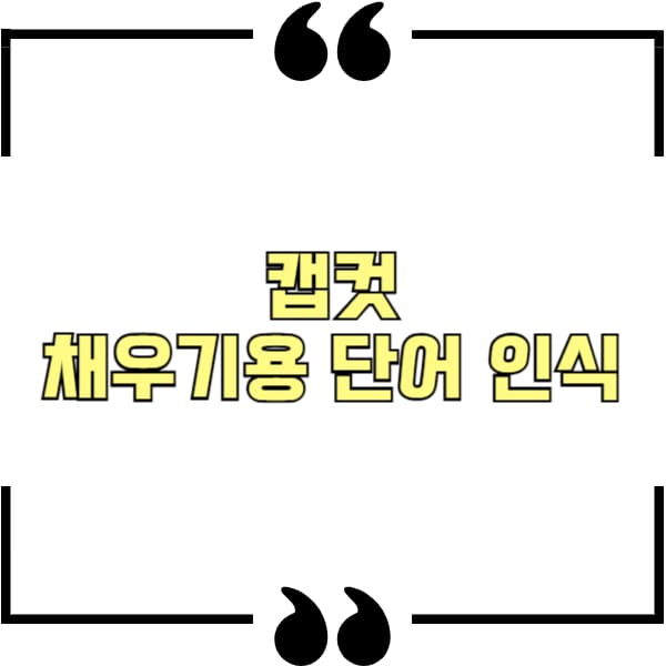 캡컷 채우기용 단어 인식
