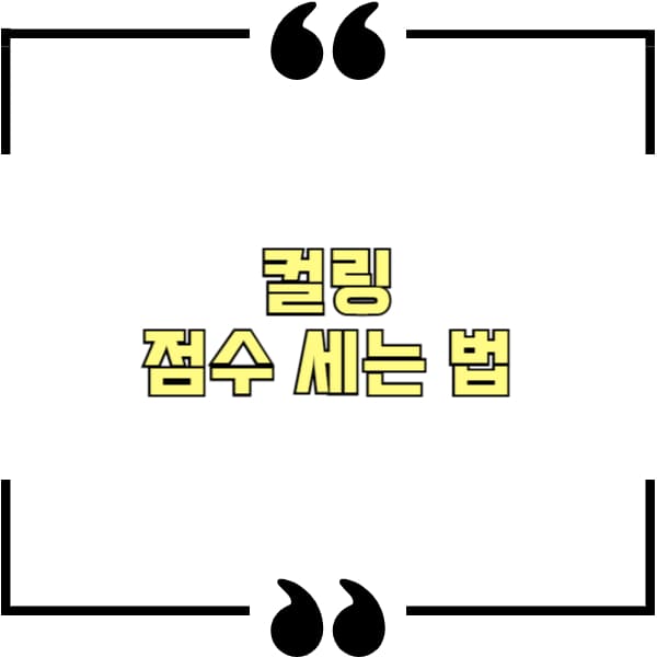 컬링 점수