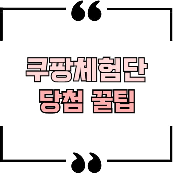 쿠팡체험단