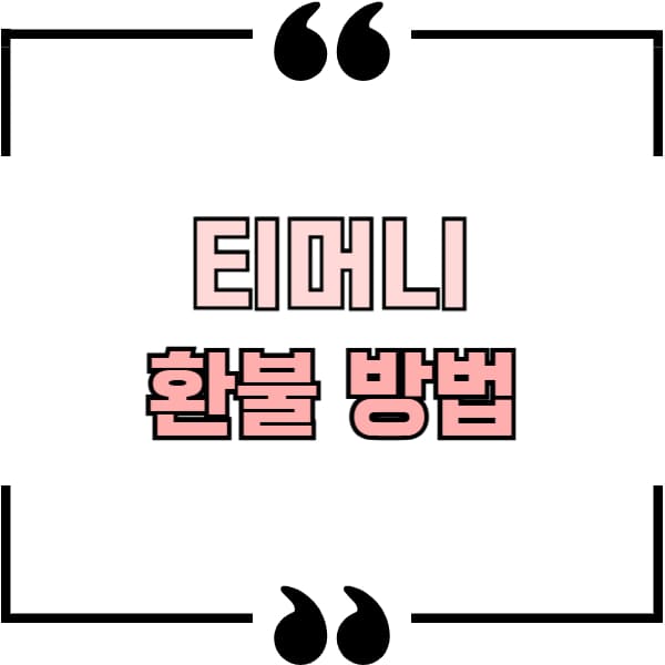 티머니 환불