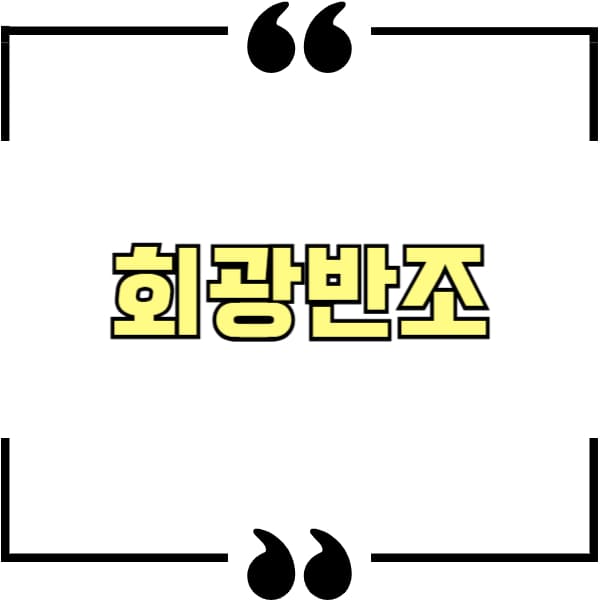 회광반조